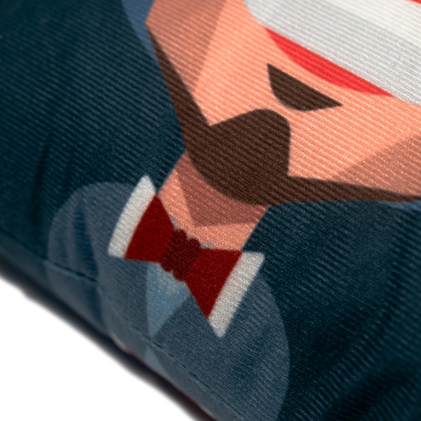 4896 × 藍色 NW 卡通抱枕｜4896 × NW Cartoon Pillow (Blue)